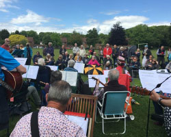 Musicians playing outside in a park in front of a group of people 