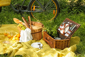 Picnic in the Park, 1 June 2022