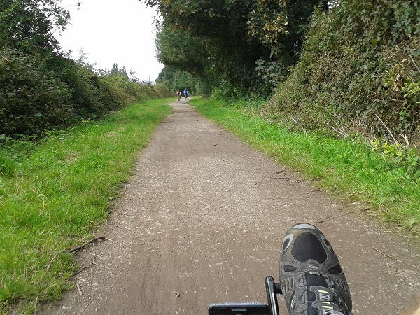 JohnBowerNWLymmThelwalltheopentrail