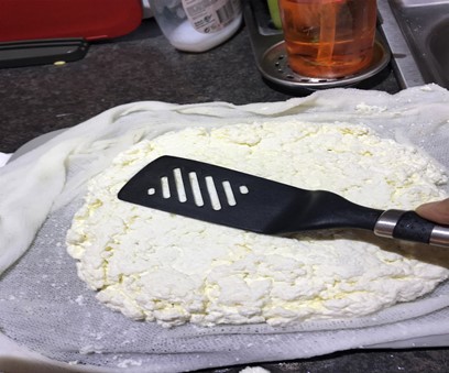 ShamimaHasanSangPaneer Image 3