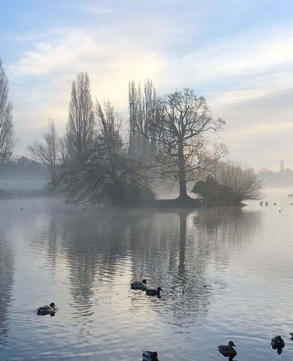 'Morning Mist' by Carole of Bexley u3a