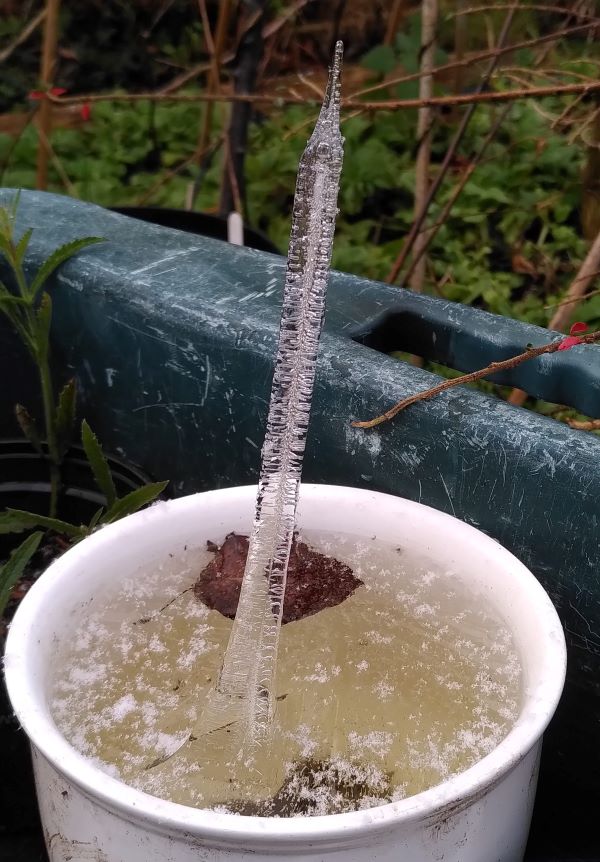 'Ice Spike' by Jenny Harkison of Bury u3a