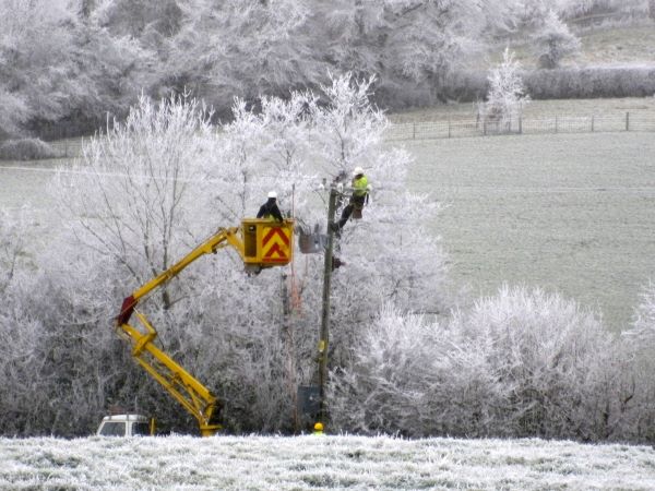 'Hardy Souls' by Barbara Newton of Droitwich Spa & District u3a