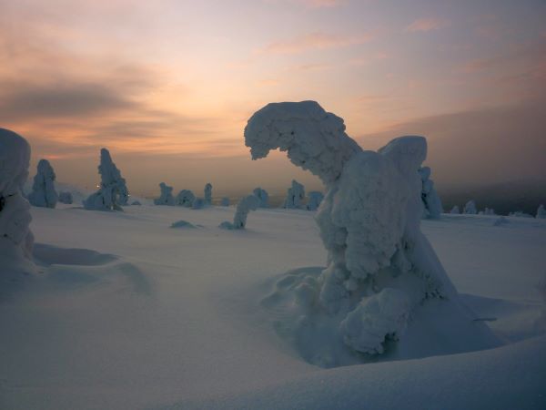 'Daylight in Lapland' by Liz Whittaker of Caterham District u3a