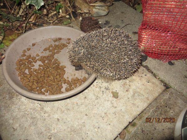 'Before Bedtime' by Madeleine Sewter of Oundle & District u3a