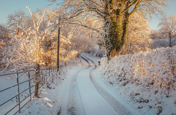 'Winter Sunlight' by Clive Ashton of Berwyn & District u3a