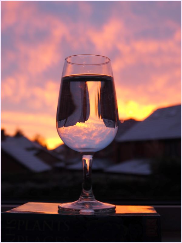 'Greeting The Dawn' by Suzanne Barr of Hadleigh Castle u3a