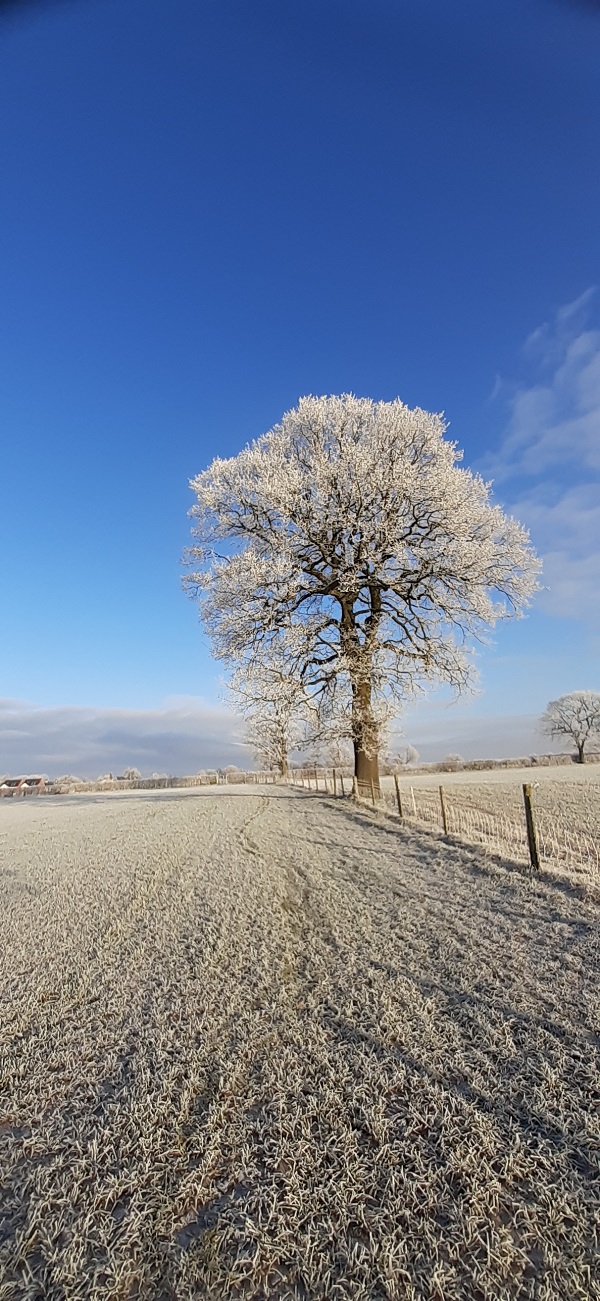 'Frosty Morning' by Kate Farmer of Crewe & Nantwich u3a