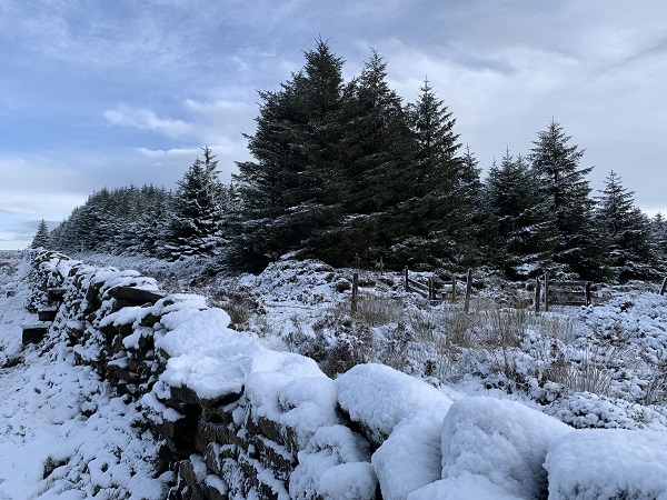 'Longridge Fell' by Julie Cooper of Clitheroe u3a