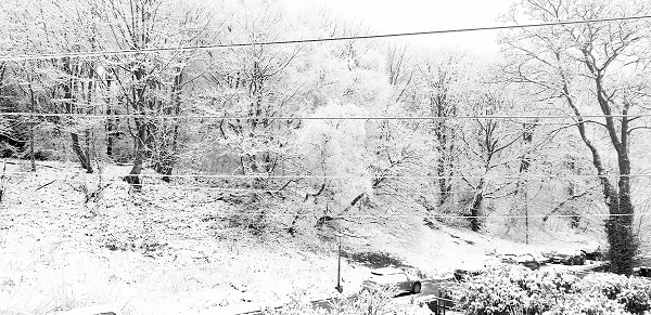 'Magical Winter Woodland' by Marion Griffin of Bolton u3a