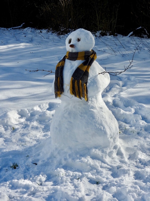 'Snowman with Scarf' by Dianne Murray of East Lothian u3a