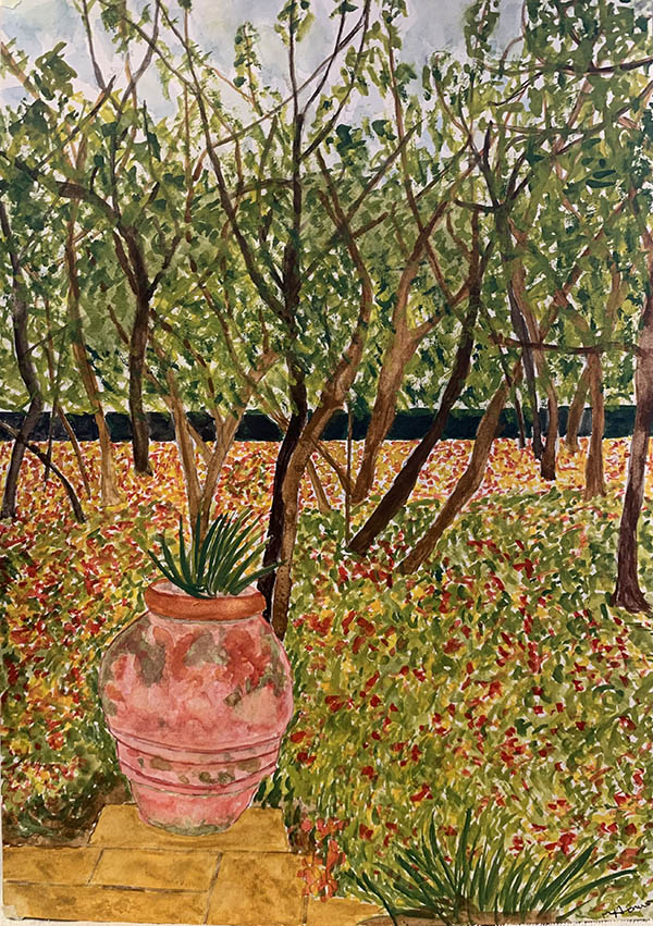 'Calm and reflection' by Nicholas Hanison of Hampstead Garden Suburb u3a