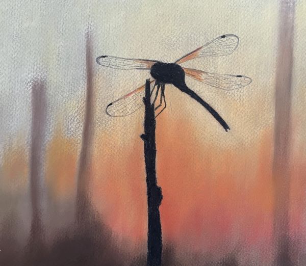'Dragonfly' by Pete Akers, Sherborne u3a