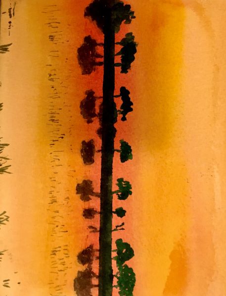 Paul Kearney, Edinburgh u3a