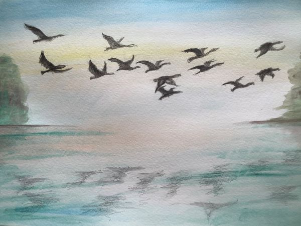 Susie Shaw, Hawkwell Village u3a