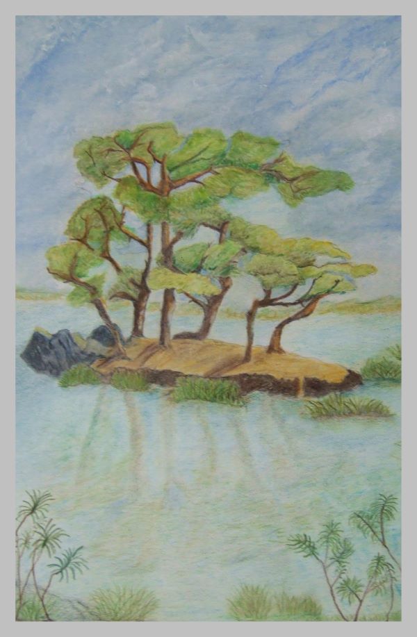 'Water Garden' by Jackie Dughan, Burton on Trent u3a