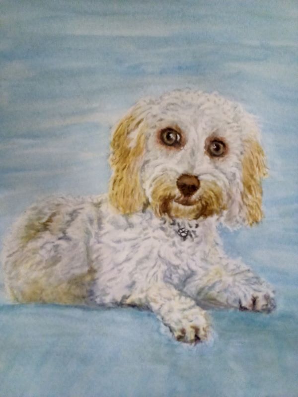 'Mischevious eyes' by Susan Nobel, Bridlington u3a