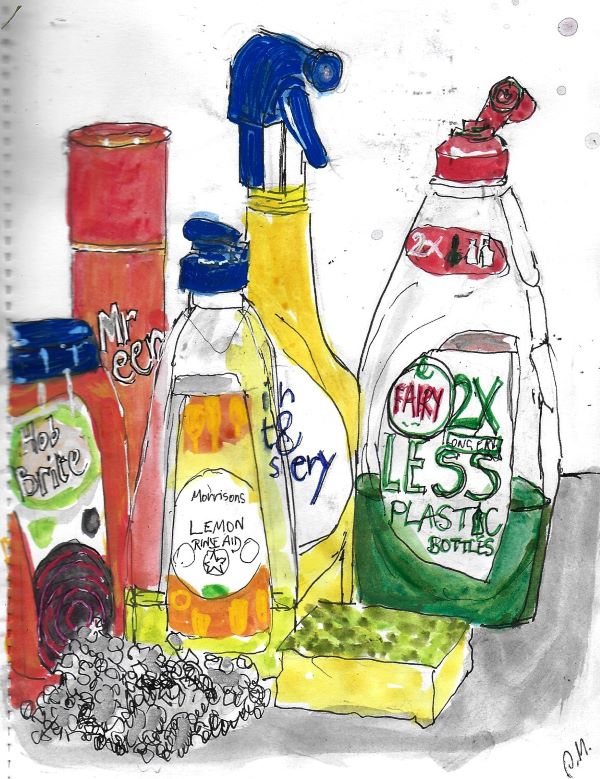 'Lockdown Essentials' by Sara Macintosh, Cowtons and Countryside u3a