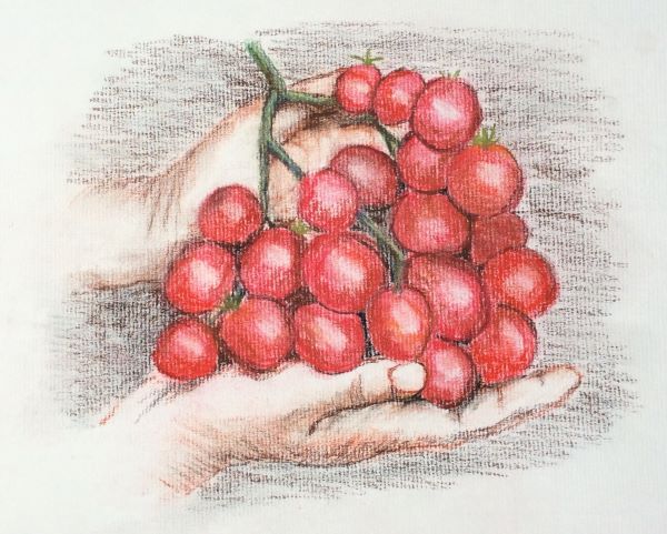 'Produce' by Cathy Harris, Sheffield u3a