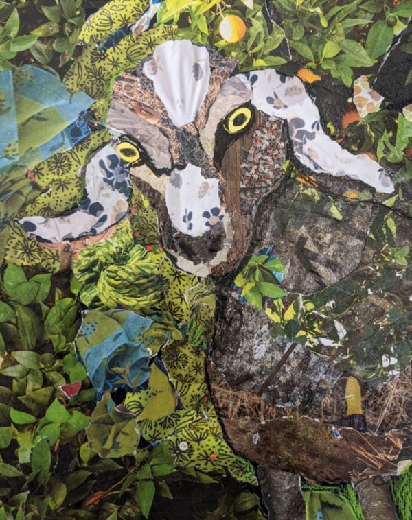 'Animal Collage' by Shirley Blacoe, Mull & Iona u3a