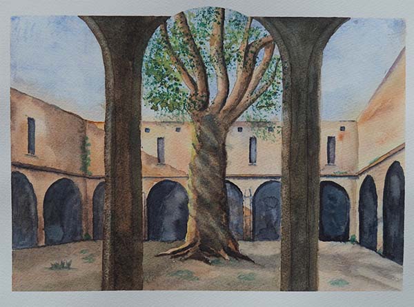 'Ancient Yew' by David Wrigley of Fleet u3a