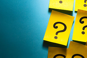 U3A Quiz - Week 12