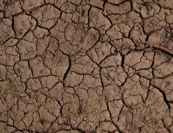 'Parched earth' by Marion Clark of Newquay u3a