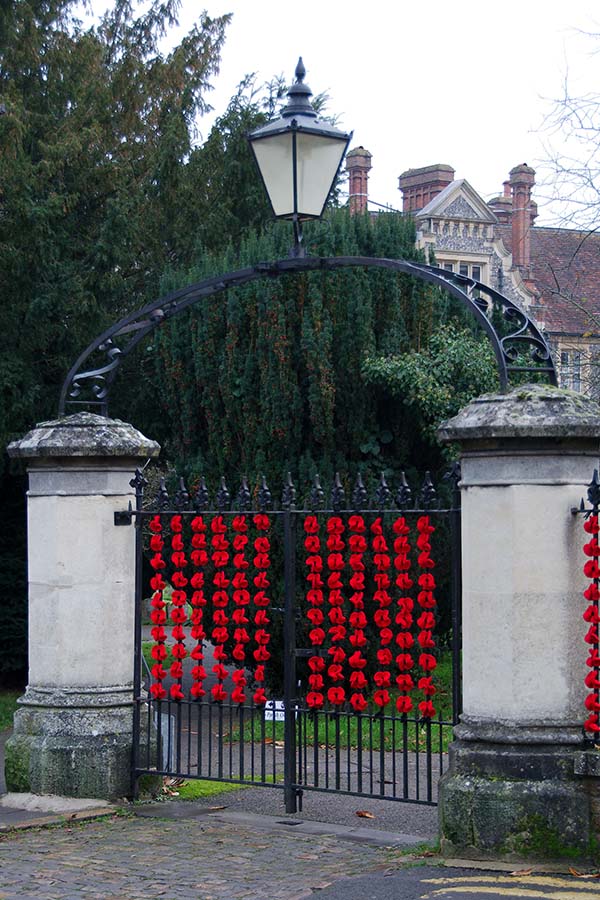 'Poppies' by Eric Meek of High Wycombe u3a
