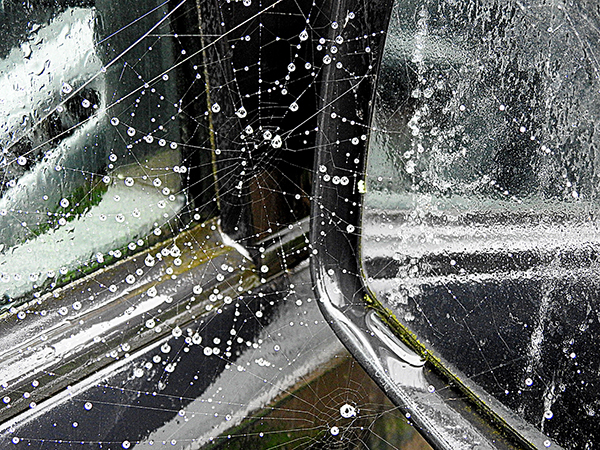 'Spider Web' by Peter Higginbottom of Barnsley U3A