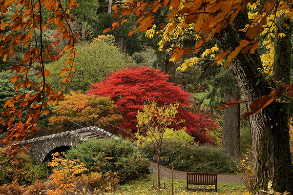 'Autumn view' by Bob Douglas of Edinburgh U3A