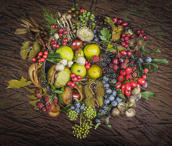 'Wild Assemblage' by Rosemary Gibbs of Rugby U3A