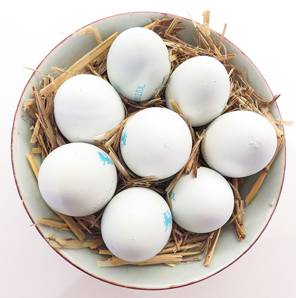 'Eggs' by John	Harris of Hartley Wintney & District U3A