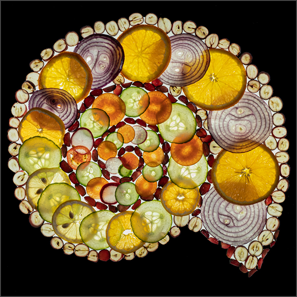 'Edible Ammonite' by Rosemary Gibbs of Rugby U3A