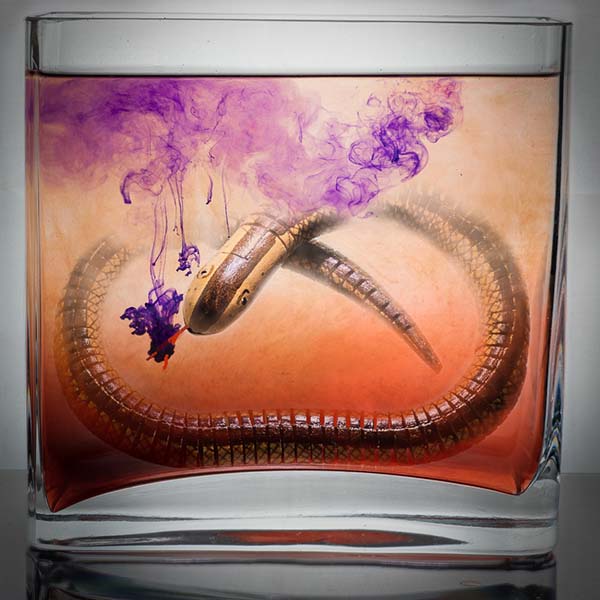 'Investigating Violet' by Rosemary Gibbs of Rugby U3A