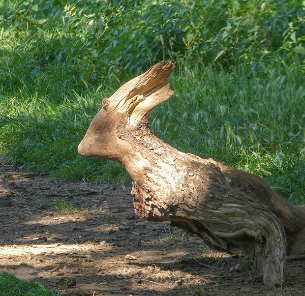 'Woodland Creature' by John Owen of Worcester Area Group U3A