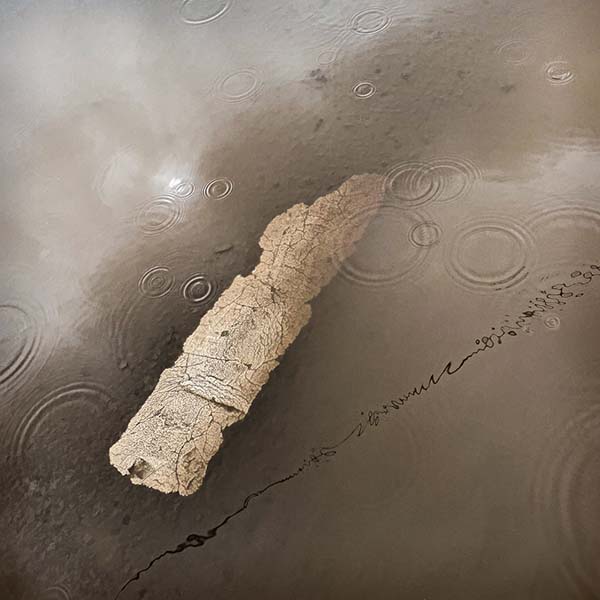 'Puddle' by Rosemary Gibbs of Rugby u3a