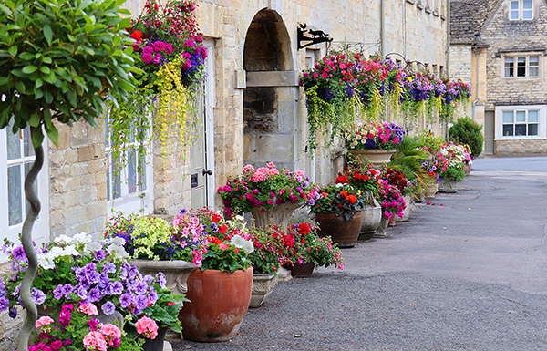 Summer by Christine Lewis of Wyre Forest & District