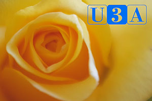 U3A Mindfulness - a Poem