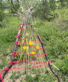 wellbeing3