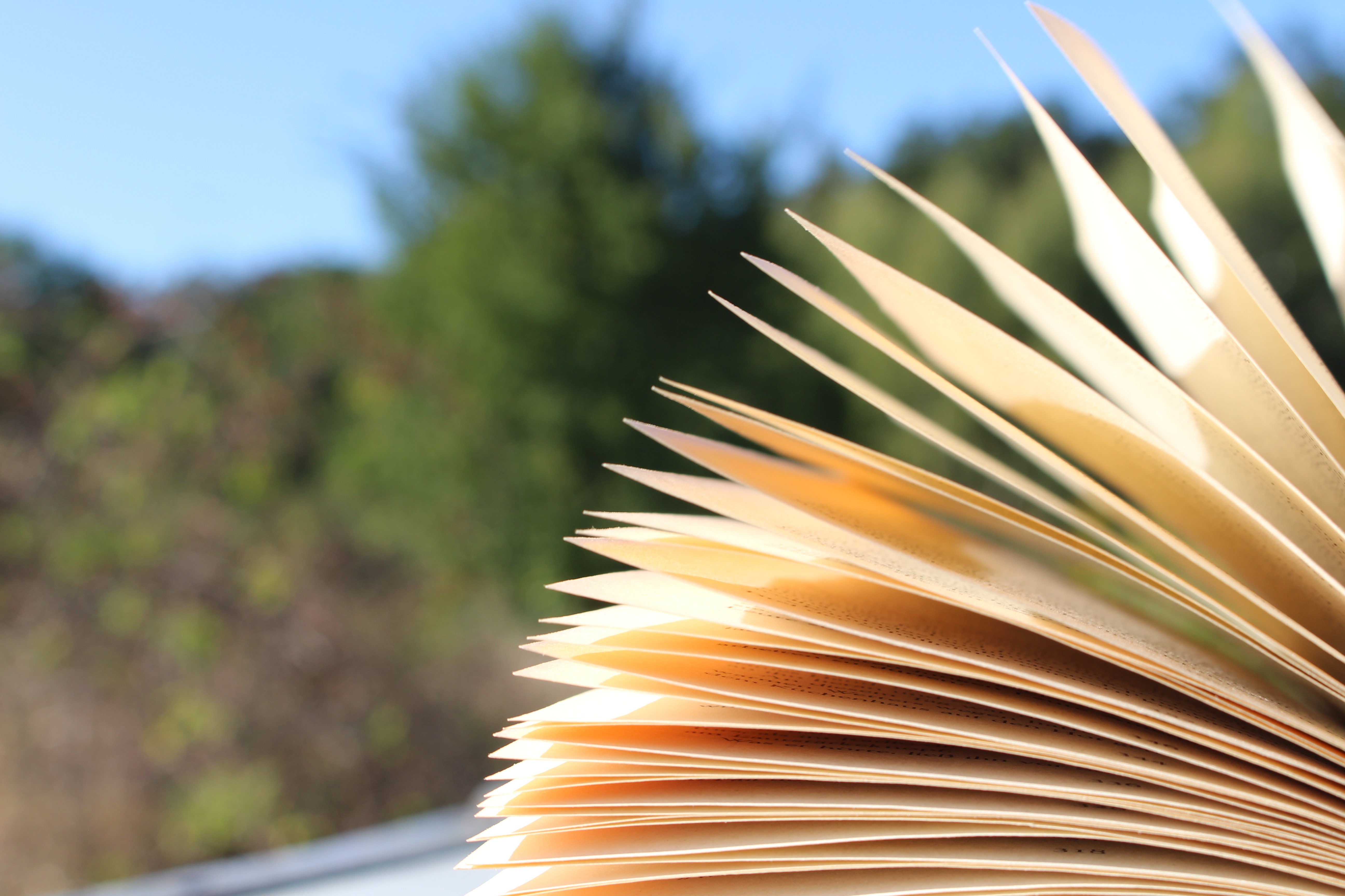 Image of the pages of a book against a background of trees