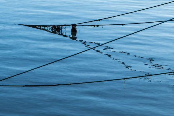 'Boat Lines' by Brian Moore of Belfast u3a