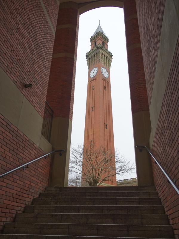 'Old Joe' by Bob Robertson of Sutton Coldfield u3a