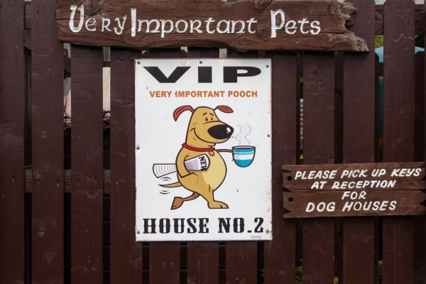 'Very Important Pets' by Brian Moore of Belfast u3a