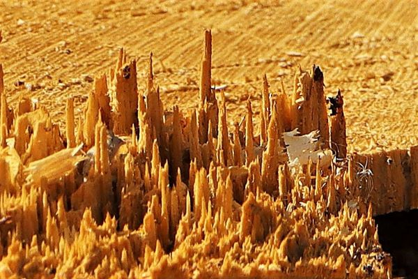 'Cut Down To Size' by John Owen of Worcester u3a