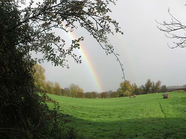 'Uplifting' by Madeleine Sewterof Oundle & District u3a