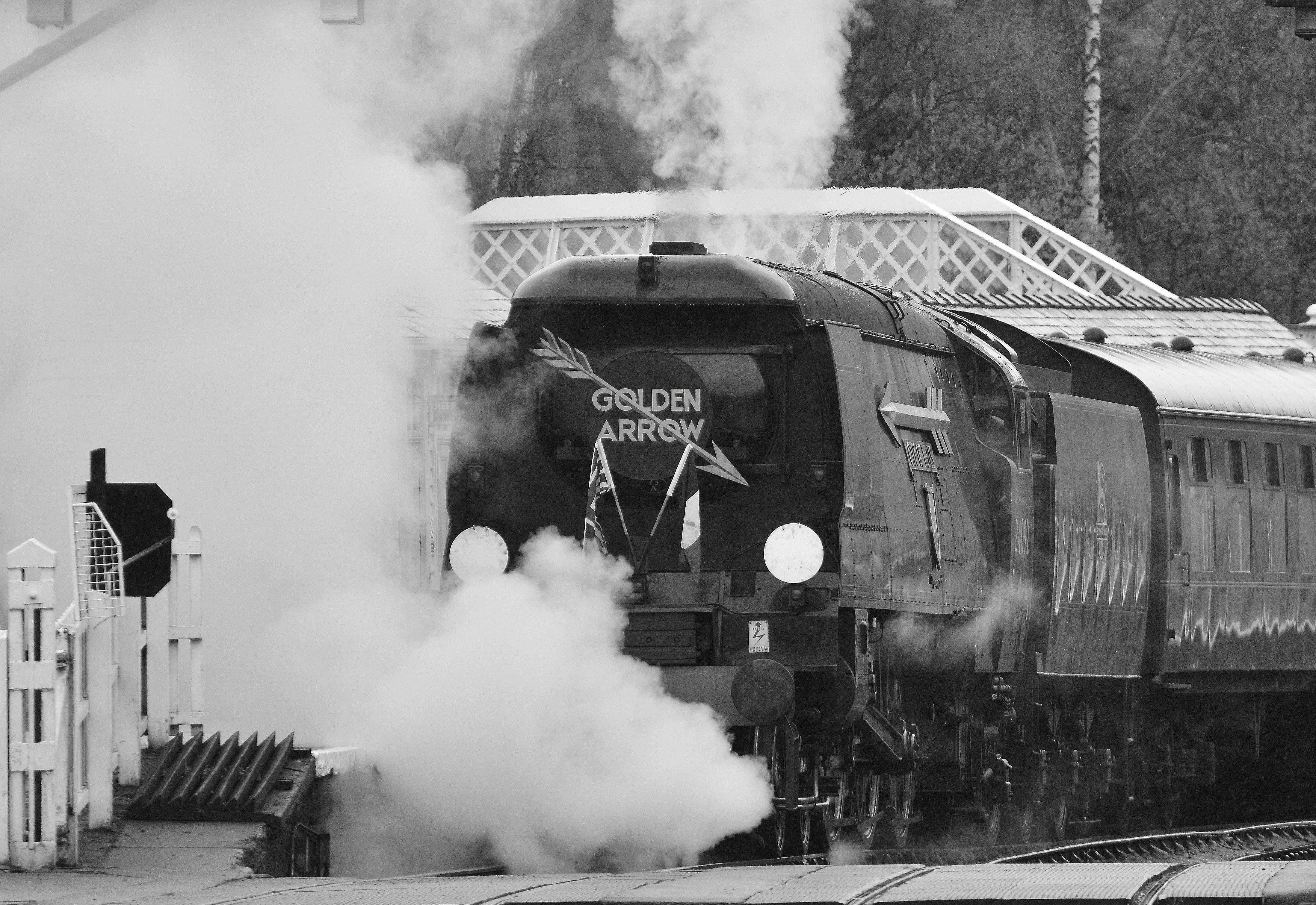 black and white photo of steam train in station surrounded by steam