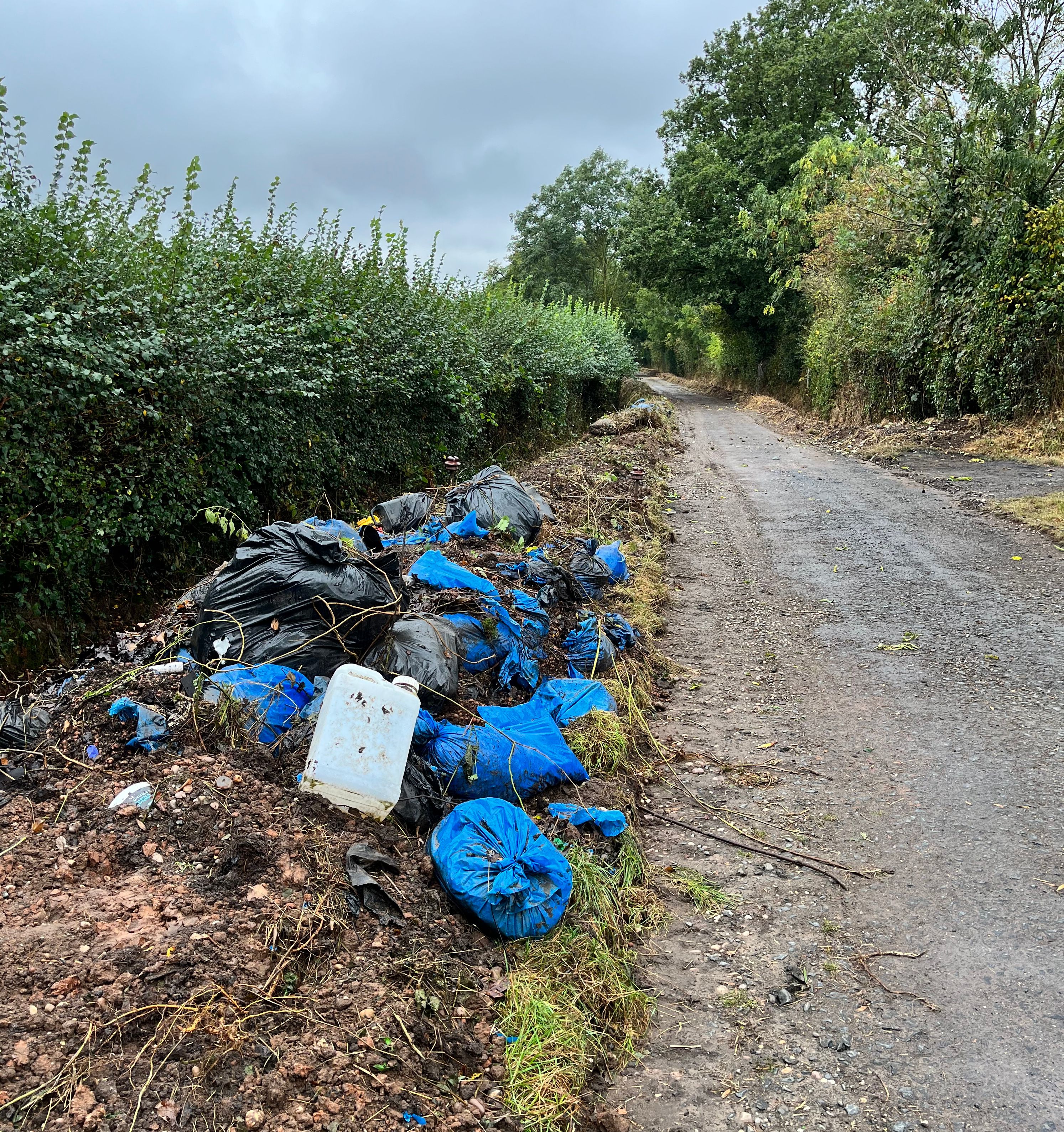 plastic bags of wste at the side of a country road 