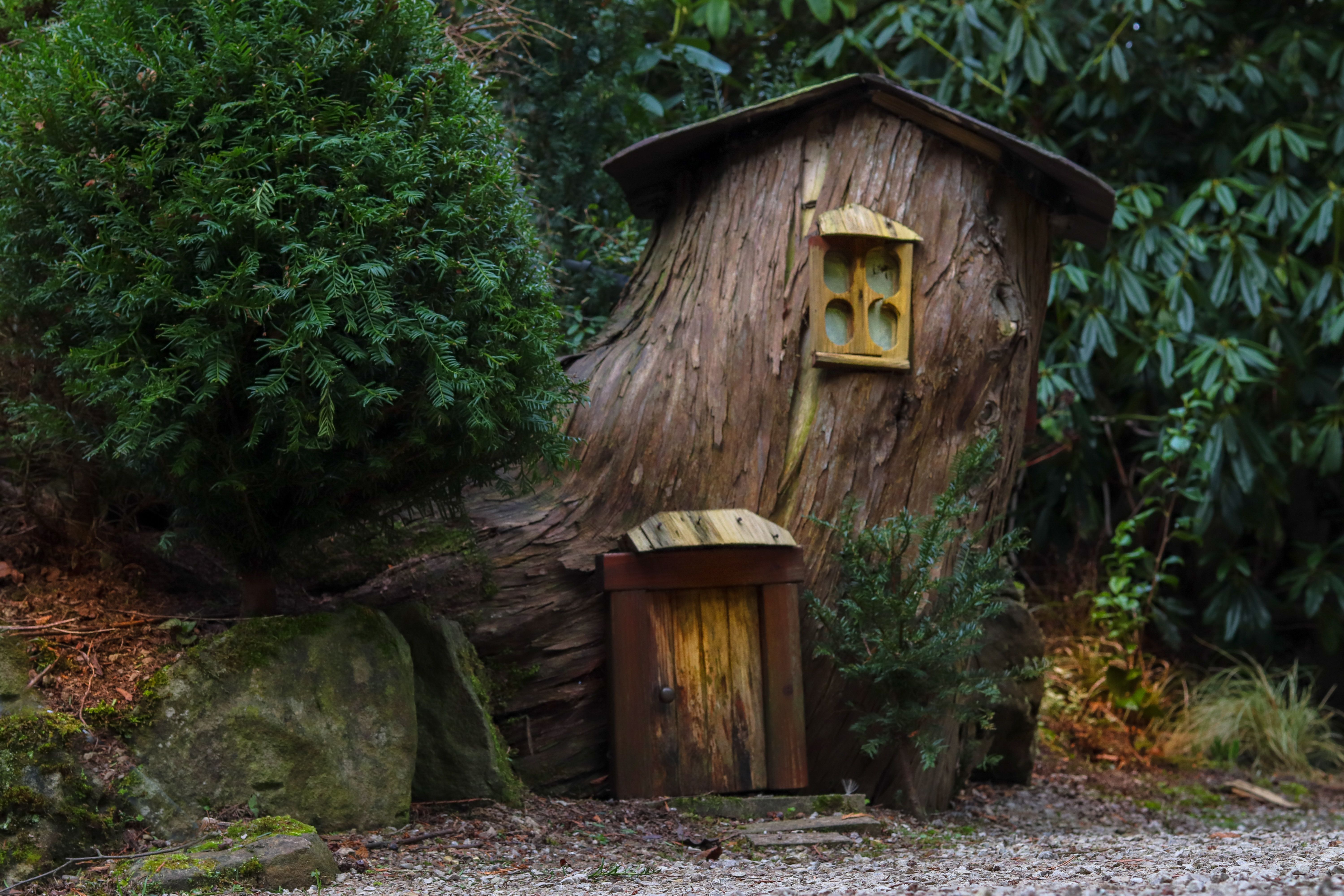 a small wooden hut made out of a tree trunk in between big bushes and trees