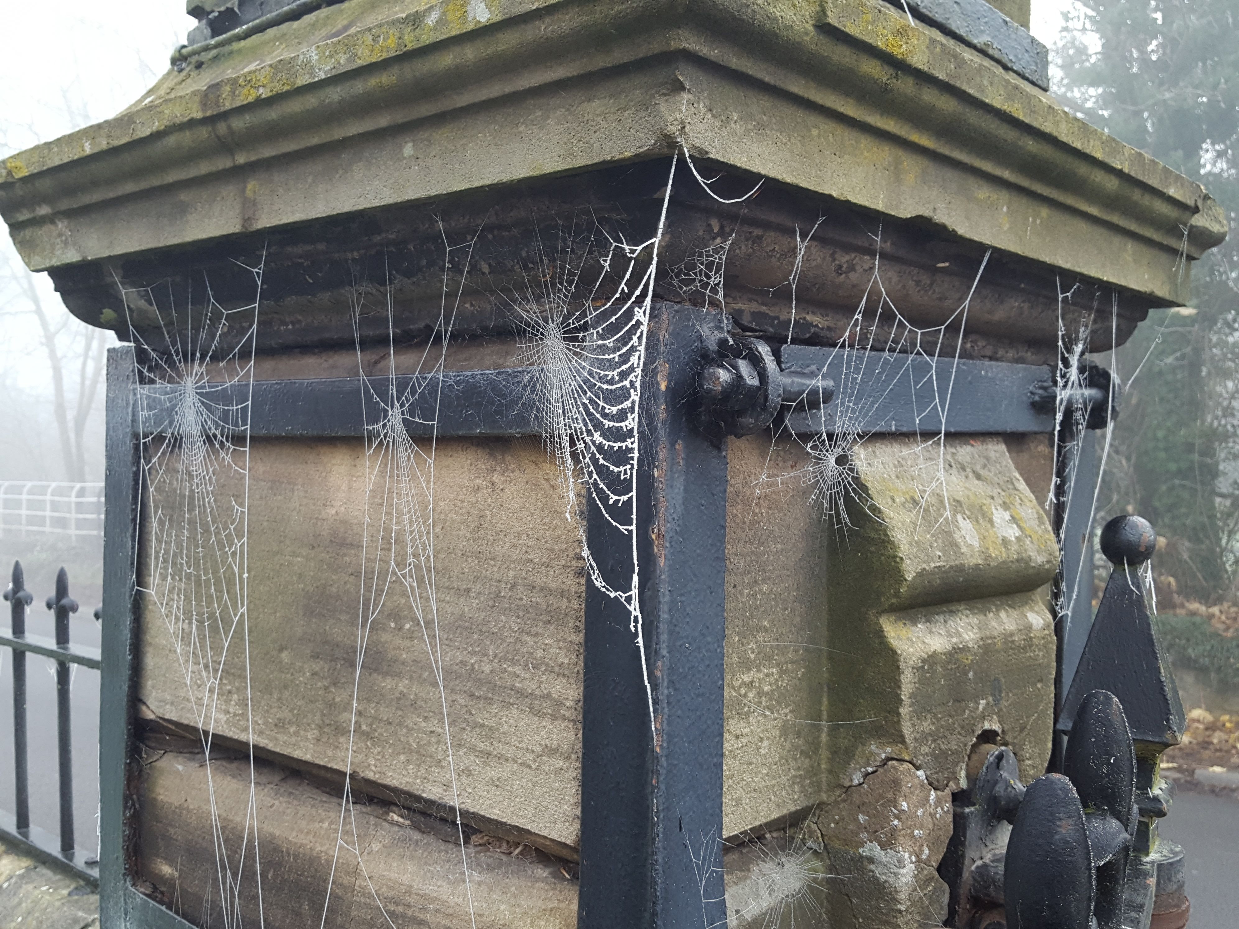 a brick pillar with frozen cobwebs all around it
