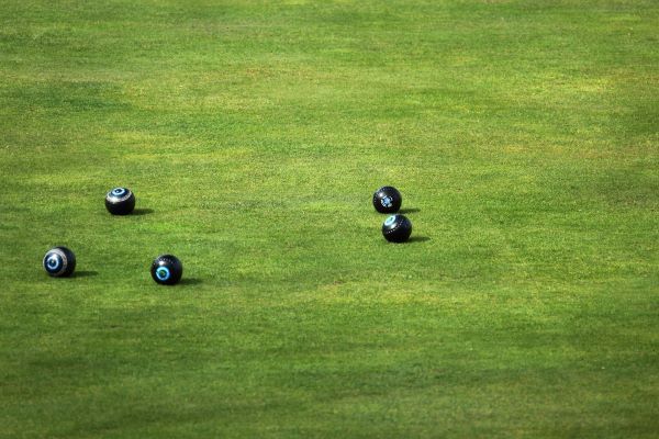 5 black balls on green grass